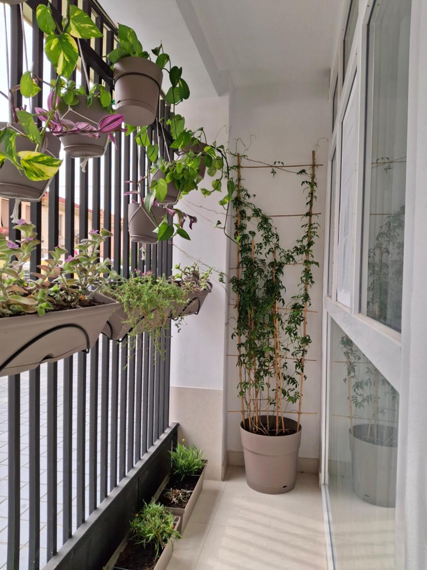 Bonito Apartamento De 2 Habitaciones Cerca De La Estacion Joaquin Sorolla Valencia Buitenkant foto